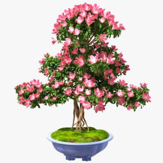 3D Green Bonsai Tree with Flowers in Pot Fur