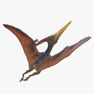 Pteranodon Rigged 3D