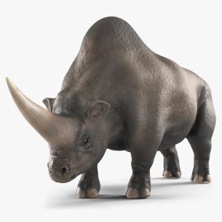 3D model Giant Rhinoceros Standing Pose