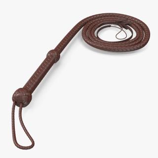 Brown Cowboy Whip Curved 3D model