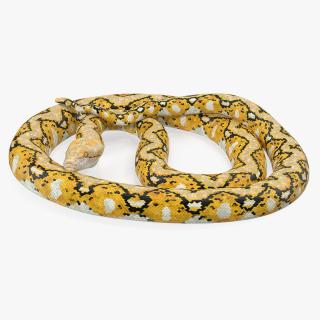 3D Yellow Python Snake Rigged