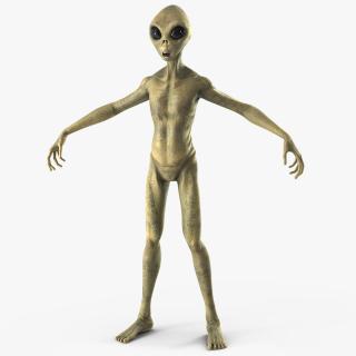 Humanoid Alien Creature Rigged for Maya 3D model