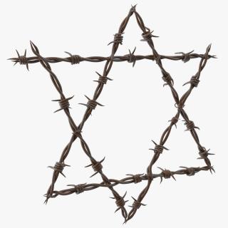 3D Star of David made from Barbed Wire Rusty