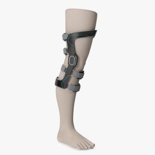 3D Upright Knee Brace model