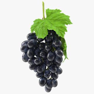 3D Bunch of Black Grapes