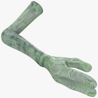 3D model Green Alien Arm
