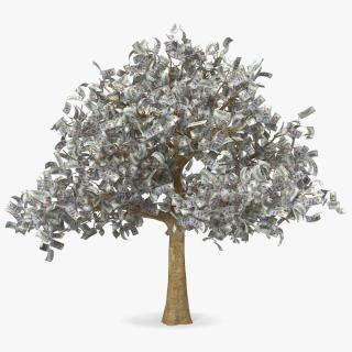 3D Money Tree with Dollar Bills model