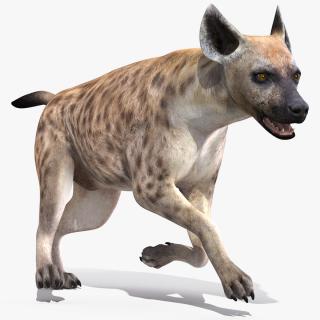 3D Hyena Running Pose model