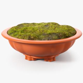 3D Wide Shallow Flower Pot with Soil model