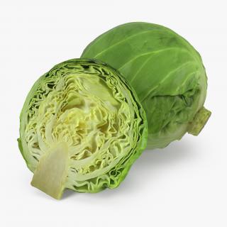 3D Cabbage Collection model