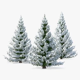 3D model Spruce in Snow Collection