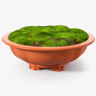 Flower Pot with Soil Fur 3D model