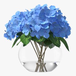 3D Hydrangea Macrophylla Nikko Blue in Glass Bowl