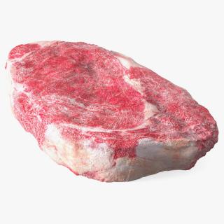 Meat Slice Frozen 3D
