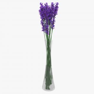 3D Lavender in Vase