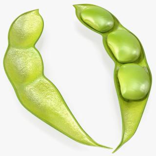 Green Soybean Pod Open 3D