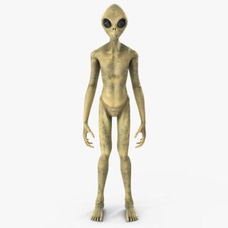 3D Standing Humanoid Alien model