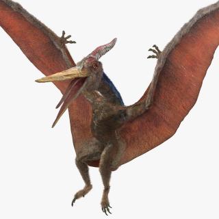 Pteranodon Landing Pose with Fur 3D