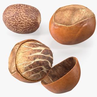 3D Shea Nuts Set model