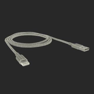 3D Apple Lightning to USB Cable model