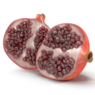 Pomegranate Cross Section 2 3D