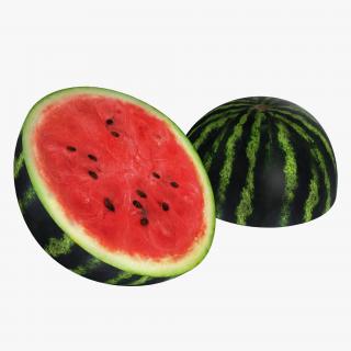 3D Watermelon Cross Section 2