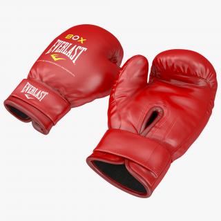 3D Boxing Gloves Everlast Red