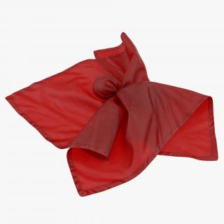 Football Penalty Flag Red 2 3D