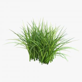 3D Grass Collection