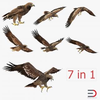 3D model Imperial Eagle Collection