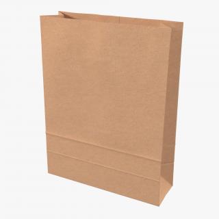 3D Paper Bag 5