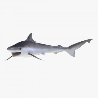 Milk Shark Pose 2 3D
