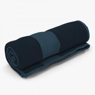 Rolled Towel Blue 3D