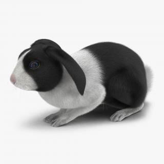 Black Rabbit Pose 2 3D model