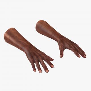 3D Old African Man Hands 2 model