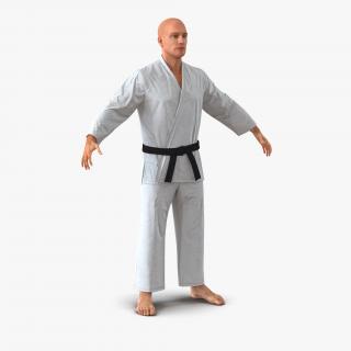Karate Fighter 3D model