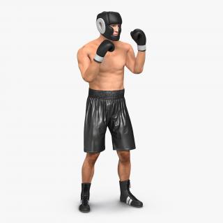Adult Boxer Man Pose 2 3D