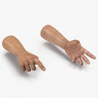 3D Rigged Hands Collection model