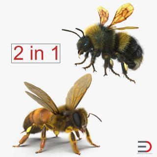 3D model Bee and Bumblebee Rigged Collection