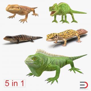 3D Lizards Collection model