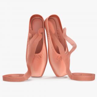 Pink Ballet Shoes 3D