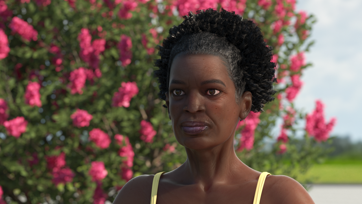 3D Afro American Grandma Head
