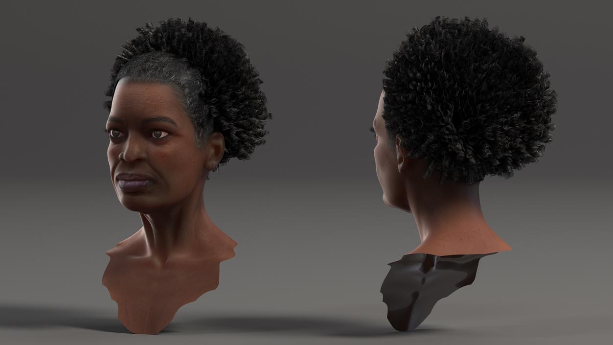 3D Afro American Grandma Head