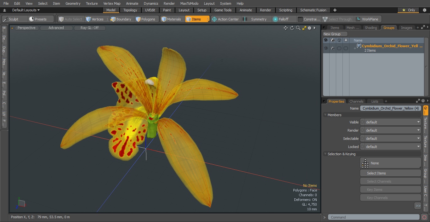 3D model Cymbidium Orchid Flower Yellow