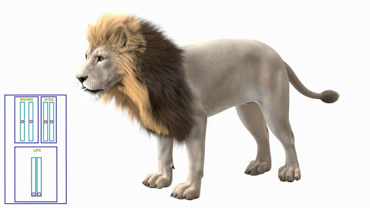 3D White Male Lion Fur Rigged