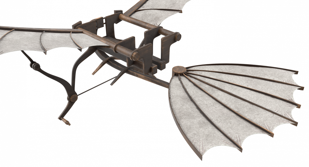 Leonardo da Vinci Glider 3D model