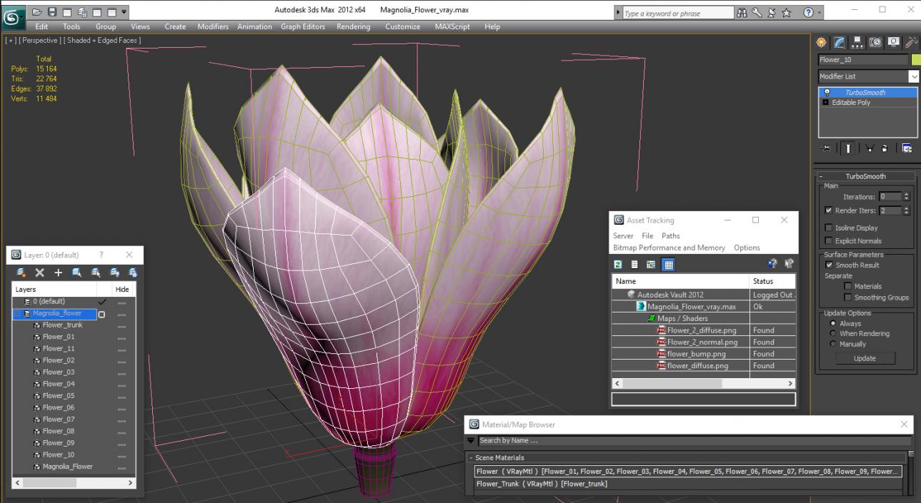 3D model Magnolia Flower