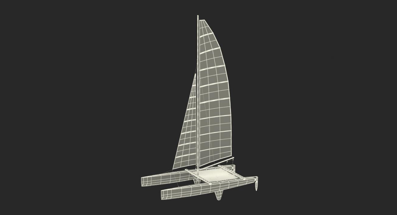 International A Class Catamaran Generic 3D model