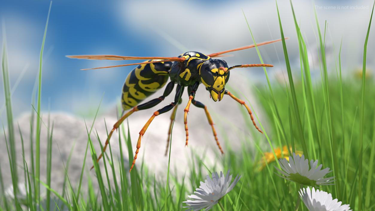 Paper Wasp Rigged 3D