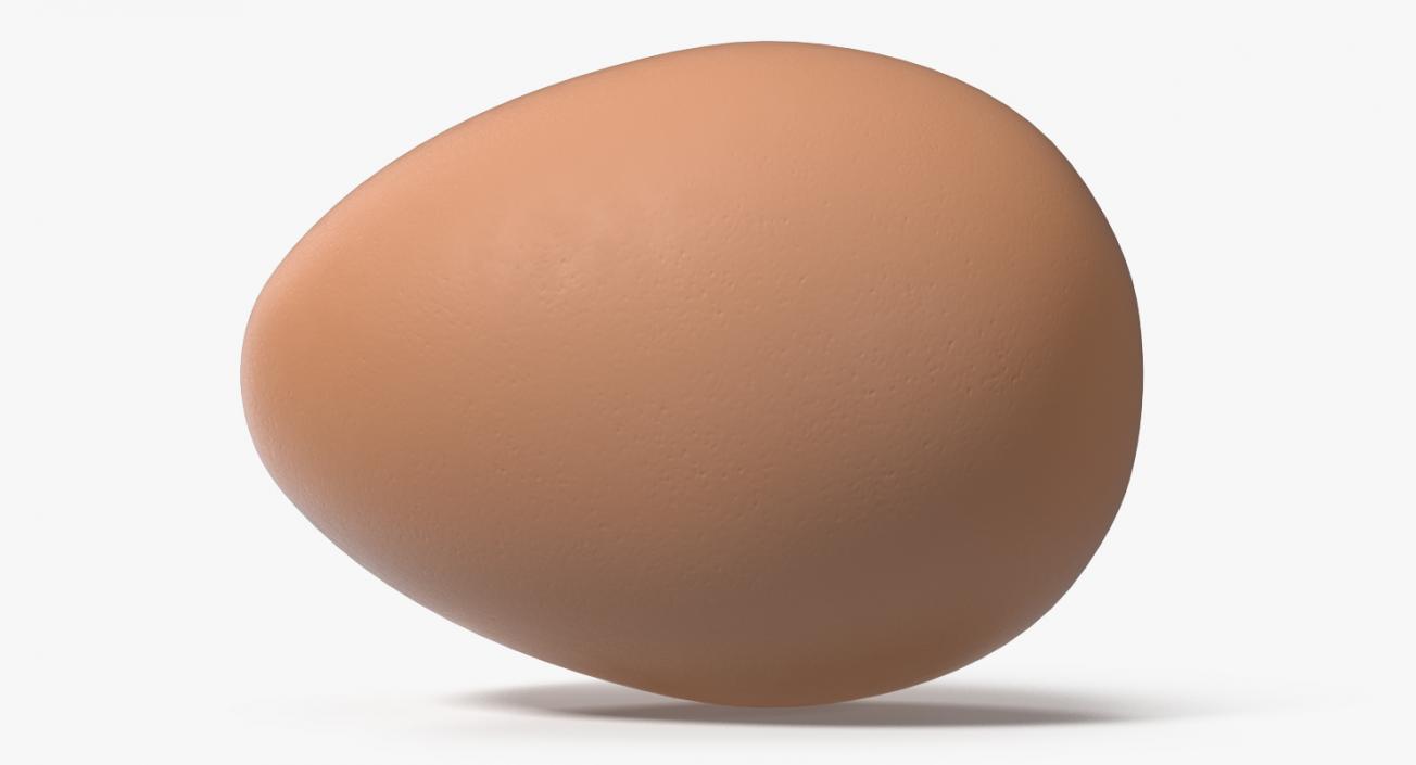 Brown Chicken Egg 3D